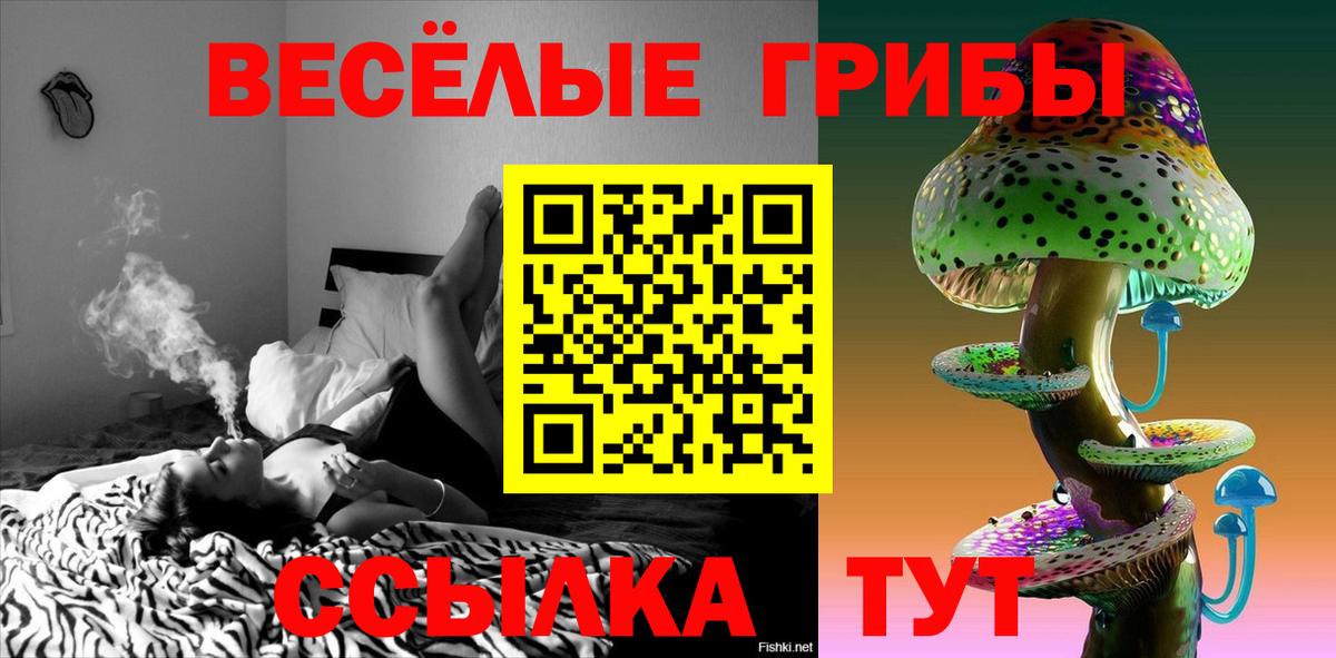 Алапаевск  Псилоцибиновые грибы мухоморы  Псилоцибиновые грибы Cubensis  Вход с VPN 