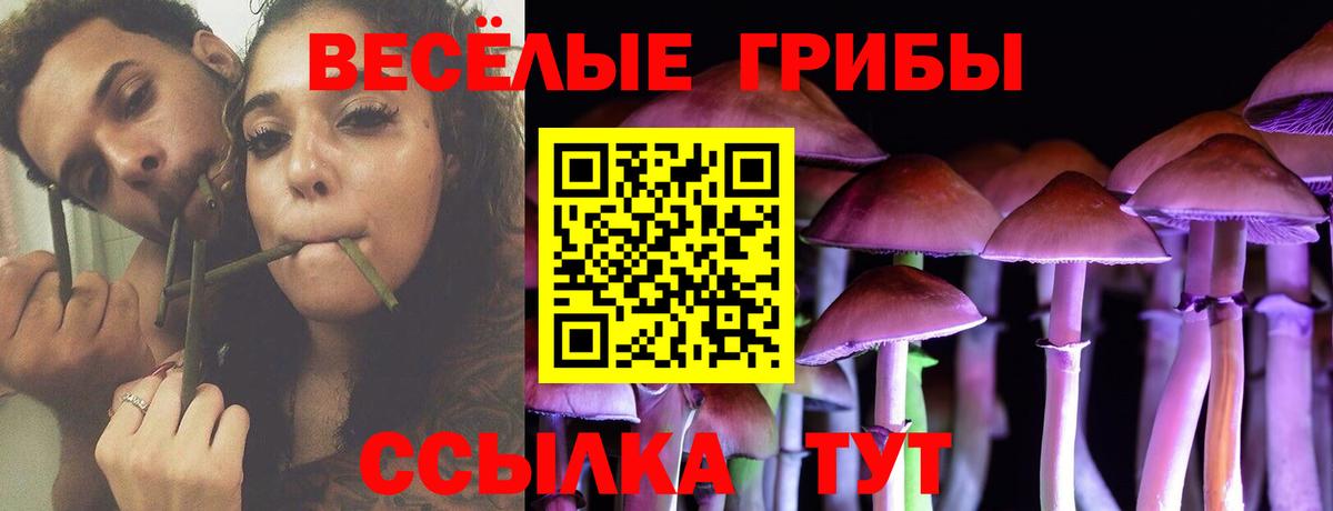 Псилоцибиновые грибы ЛСД Алапаевск